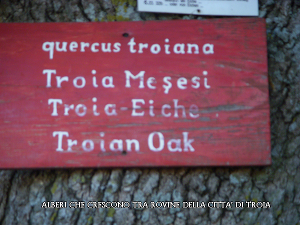 Troia1w